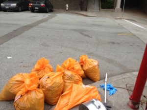 7 Bags from Taylor and Green Intersection